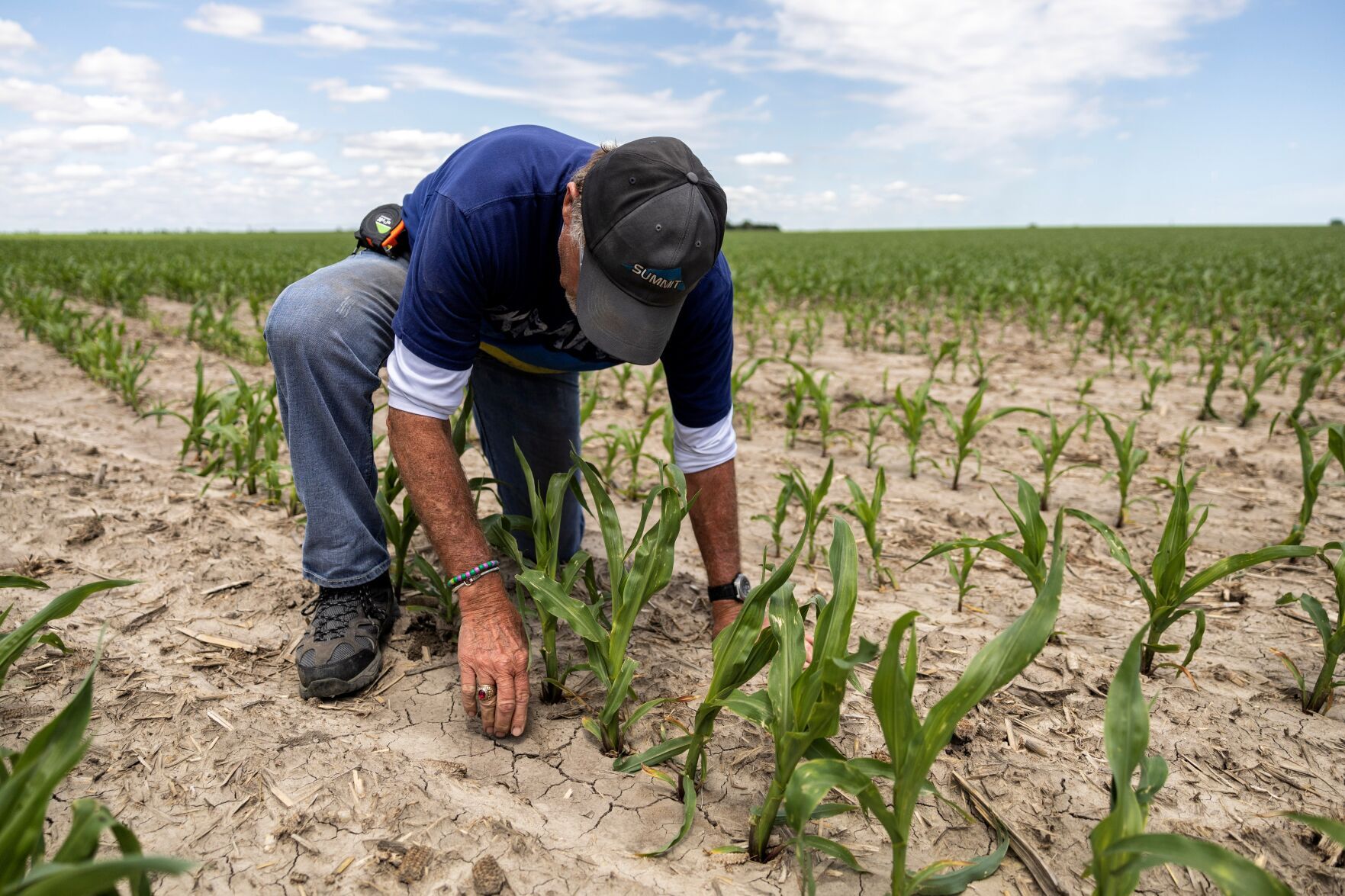 Ukraine farming/COPYRIGHT RESTRICTED